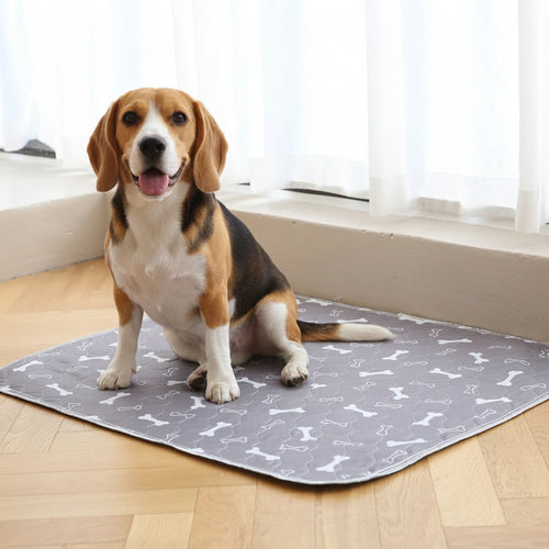 Paw Pup Pad