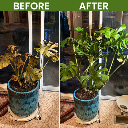LIMETOW® PLANT REVIVAL LIQUID