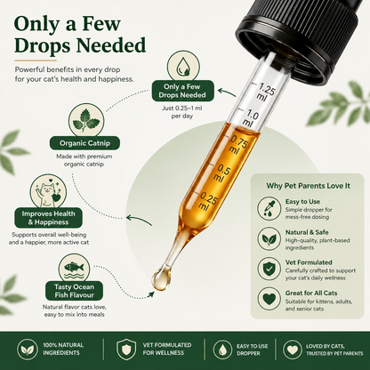 Advanced Catnip Oil