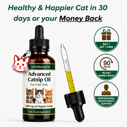 Advanced Catnip Oil