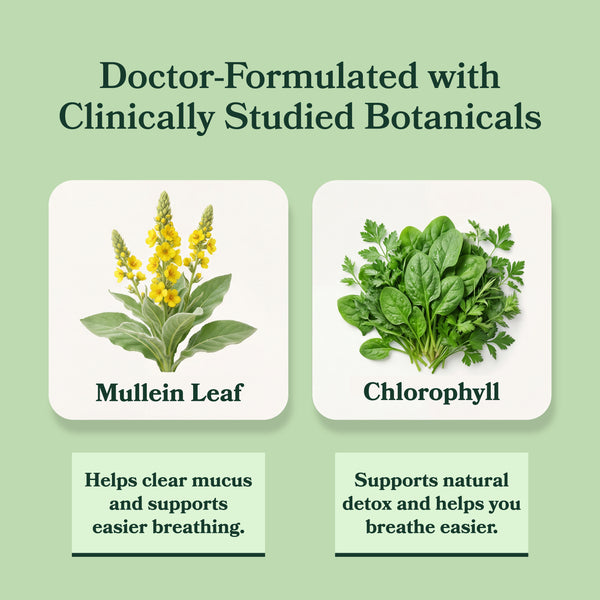 LIMETOW® Mullein + Chlorophyll