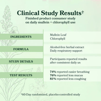 LIMETOW® Mullein + Chlorophyll