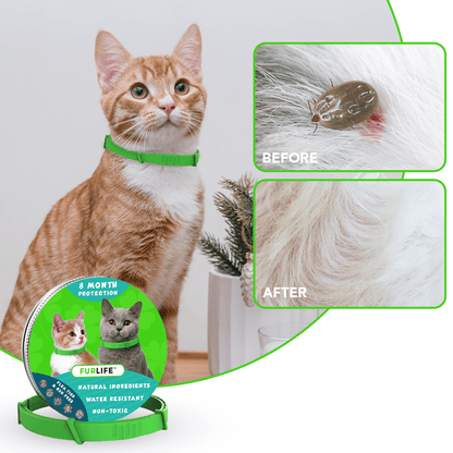 8 Months Flea and Tick Free