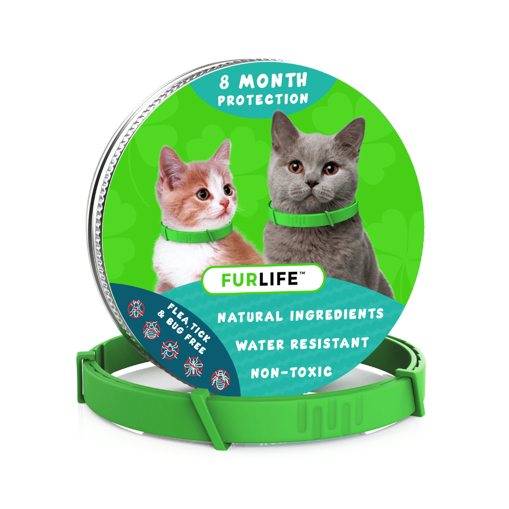 8 Months Flea and Tick Free