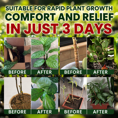 Official US Store LIMETOW® Universal Plant Nutrient Solution