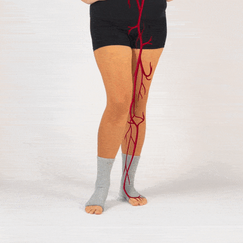 Premium Anti-Fatigue Bamboo Footsleeves