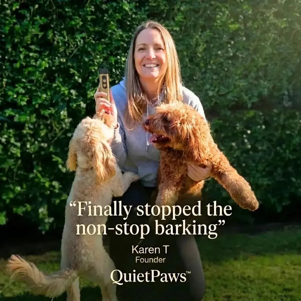 Anti-Barking Device