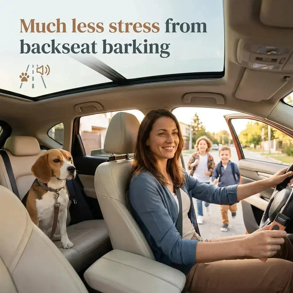 Anti-Barking Device