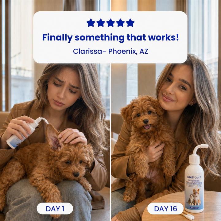 LIMETOW® Anti-Itch Pet Ear Rinse