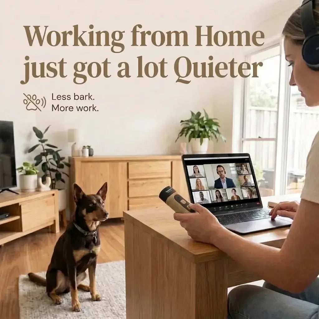 Anti-Barking Device